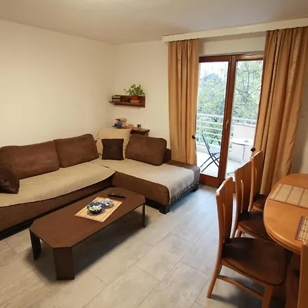 Apartament Svjetlanovic *
